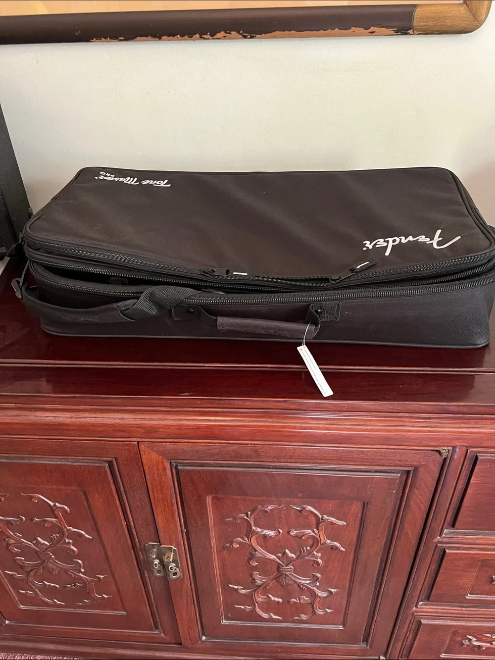 Fender Black Tone Master Pro Gig Bag